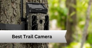 Best Trail Camera — A Complete Guide!